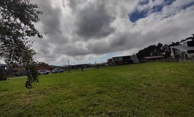 VENTA GRAN LOTE EN RUMENCO JOVEN