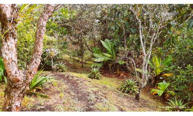 Venta Casa Campestre Santa Elena 220m2