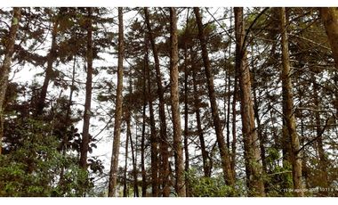 Venta Casa Campestre Santa Elena 220m2