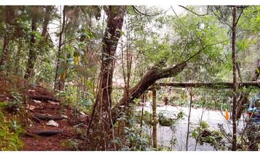 Venta Casa Campestre Santa Elena 220m2