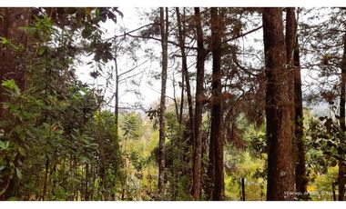 Venta Casa Campestre Santa Elena 220m2