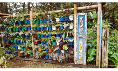 Venta Casa Campestre Santa Elena 220m2