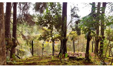 Venta Casa Campestre Santa Elena 220m2