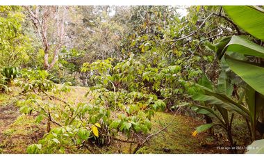 Venta Casa Campestre Santa Elena 220m2