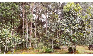 Venta Casa Campestre Santa Elena 220m2