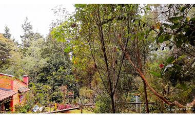 Venta Casa Campestre Santa Elena 220m2