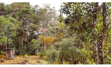 Venta Casa Campestre Santa Elena 220m2