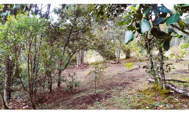 Venta Casa Campestre Santa Elena 220m2