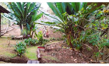 Venta Casa Campestre Santa Elena 220m2