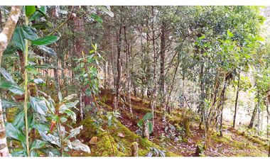 Venta Casa Campestre Santa Elena 220m2