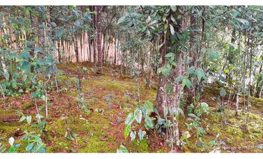 Venta Casa Campestre Santa Elena 220m2