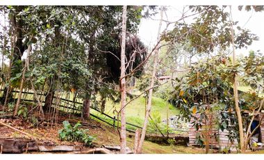 Venta Casa Campestre Santa Elena 220m2