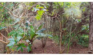 Venta Casa Campestre Santa Elena 220m2