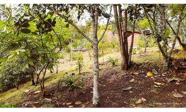 Venta Casa Campestre Santa Elena 220m2