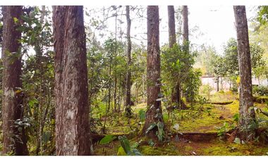 Venta Casa Campestre Santa Elena 220m2