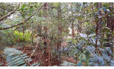 Venta Casa Campestre Santa Elena 220m2