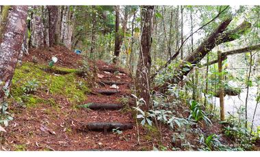 Venta Casa Campestre Santa Elena 220m2