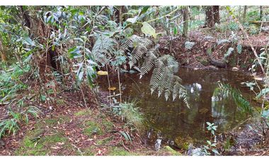 Venta Casa Campestre Santa Elena 220m2