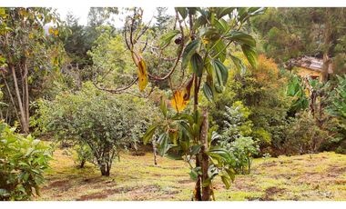 Venta Casa Campestre Santa Elena 220m2