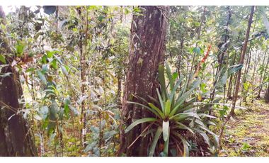 Venta Casa Campestre Santa Elena 220m2