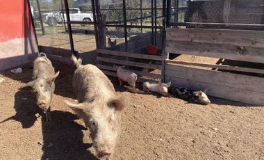 RANCHO EN VENTA  CON CABALLERIZAS LOS RAMONES NL
