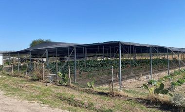 RANCHO EN VENTA  CON CABALLERIZAS LOS RAMONES NL