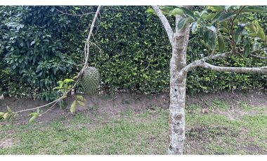 Se vende lote campestre en condominio cerrado Murillo