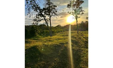 LOTES CAMPESTRES EN VENTA LA BUITRERA PALMIRA