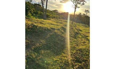 LOTES CAMPESTRES EN VENTA LA BUITRERA PALMIRA