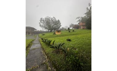 FINCA EN VENTA EN FILANDIA QUINDIO