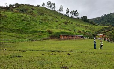 VENDO FINCA EN PEREIRA, LA FLORIDA,  USO PRODUCCION DE LECHE
