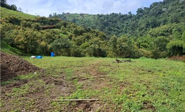 VENDO FINCA EN PEREIRA, LA FLORIDA,  USO PRODUCCION DE LECHE