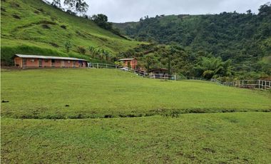 VENDO FINCA EN PEREIRA, LA FLORIDA,  USO PRODUCCION DE LECHE