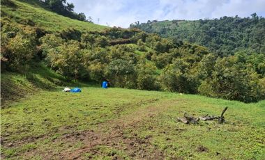 VENDO FINCA EN PEREIRA, LA FLORIDA,  USO PRODUCCION DE LECHE