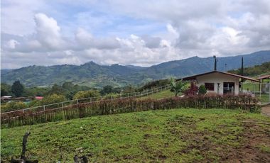 VENDO FINCA EN PEREIRA, LA FLORIDA,  USO PRODUCCION DE LECHE