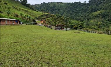 VENDO FINCA EN PEREIRA, LA FLORIDA,  USO PRODUCCION DE LECHE