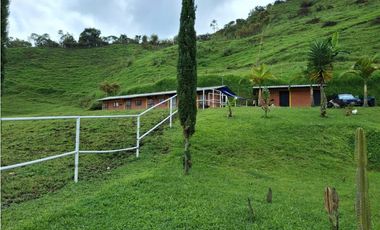 VENDO FINCA EN PEREIRA, LA FLORIDA,  USO PRODUCCION DE LECHE