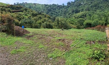 VENDO FINCA EN PEREIRA, LA FLORIDA,  USO PRODUCCION DE LECHE