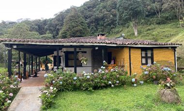 Se Vende finca en la paz dapa