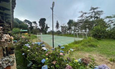 Se Vende finca en la paz dapa