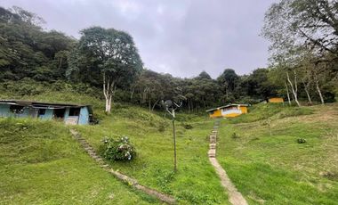Se Vende finca en la paz dapa