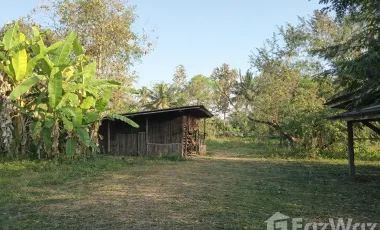 3 Bedroom House for sale in Ban Tom, Phayao