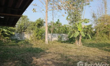 3 Bedroom House for sale in Ban Tom, Phayao