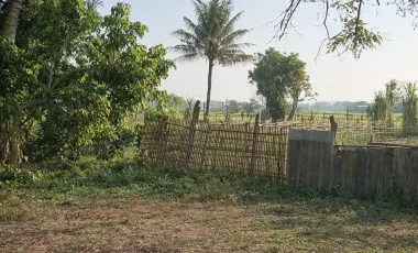 3 Bedroom House for sale in Ban Tom, Phayao