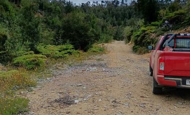 Parcela en venta en LOS MUERMOS