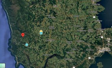 Parcela en venta en LOS MUERMOS