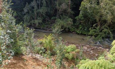 Parcela en venta en LOS MUERMOS