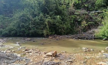 Parcela en venta en LOS MUERMOS