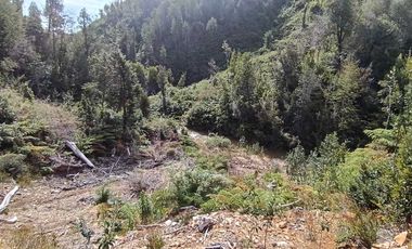 Parcela en venta en LOS MUERMOS