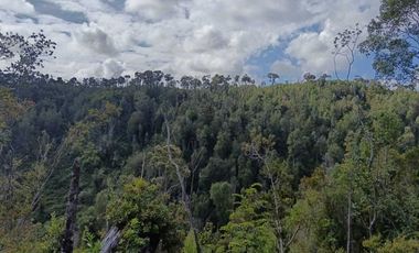 Parcela en venta en LOS MUERMOS